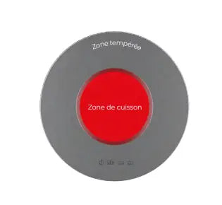 Barbecue électrique en inox - plancha pour espaces collectifs france collectivités