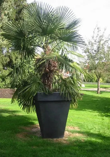 Pot décoratif carré 85 L pour aménagement de jardins et terrasses