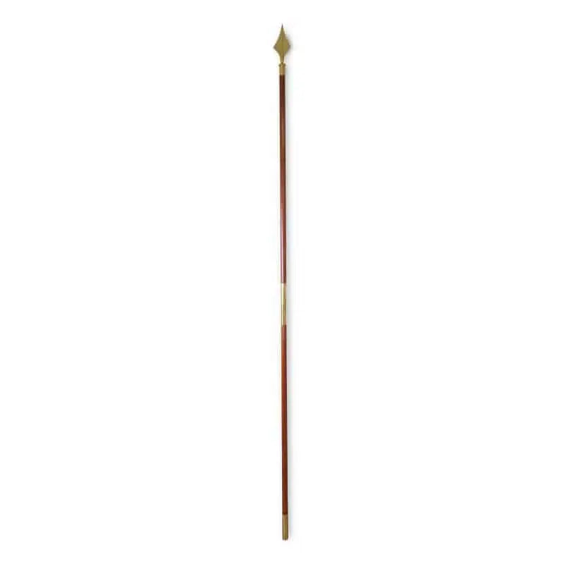 Hampe de cérémonie standard france collectivités