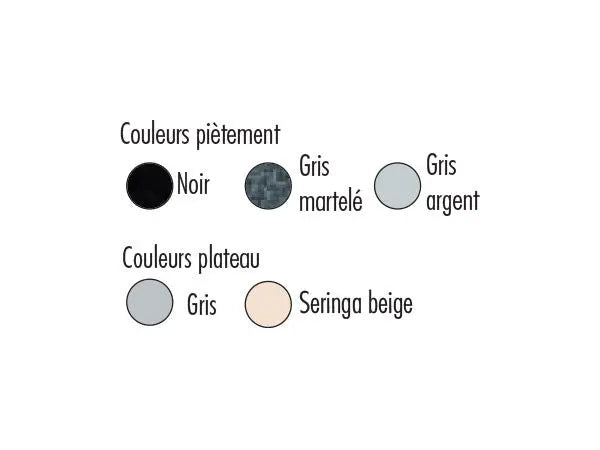 Table Landes avec finition époxy et coloris de plateau au choix gris ou beige