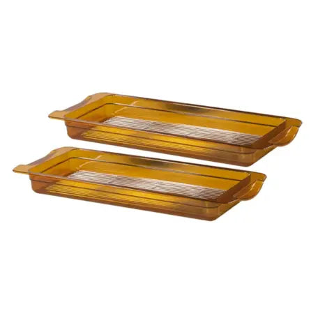 Lot de 2 bacs GN 2/4 haute température Casselin